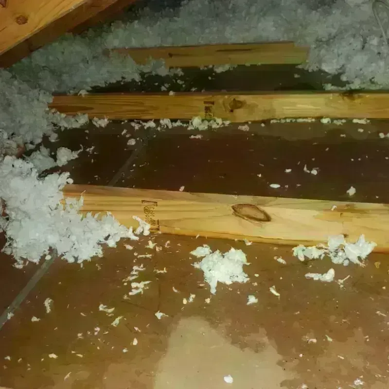 Attic Water Damage in Oxford, MS